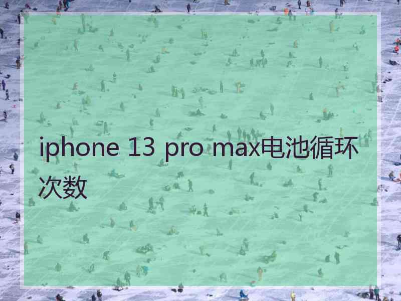 iphone 13 pro max电池循环次数