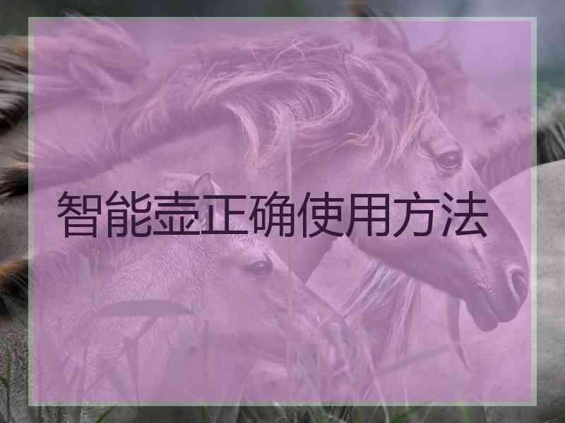 智能壶正确使用方法