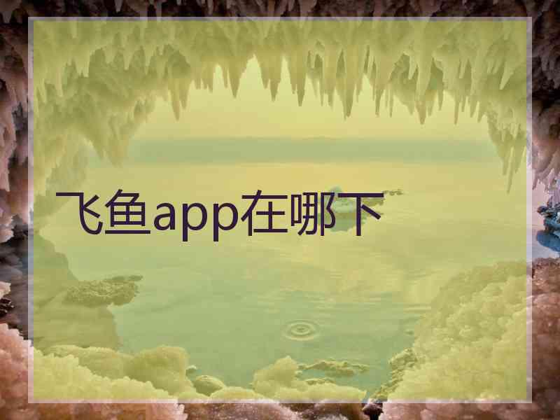 飞鱼app在哪下