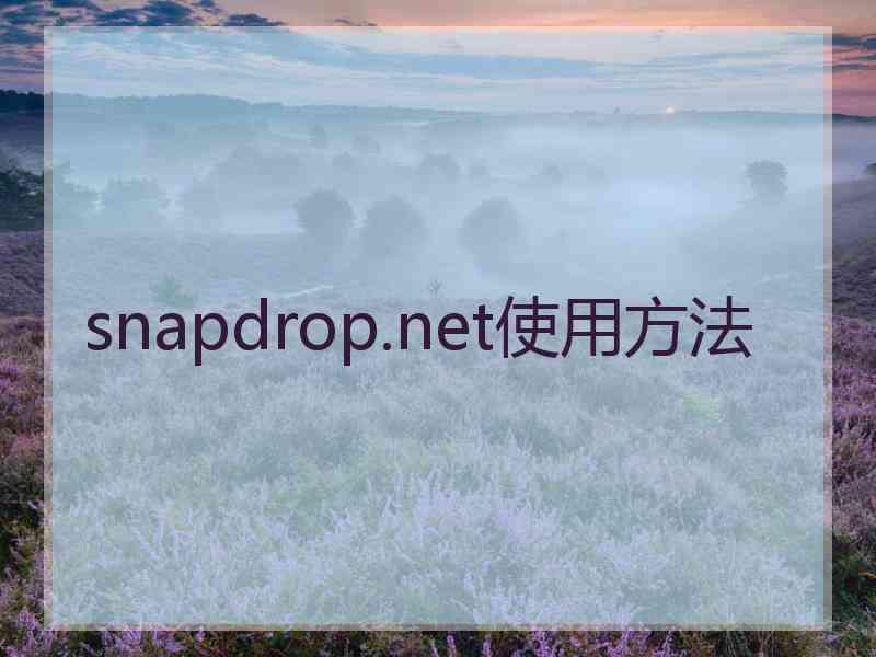 snapdrop.net使用方法