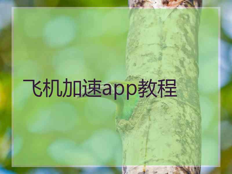 飞机加速app教程