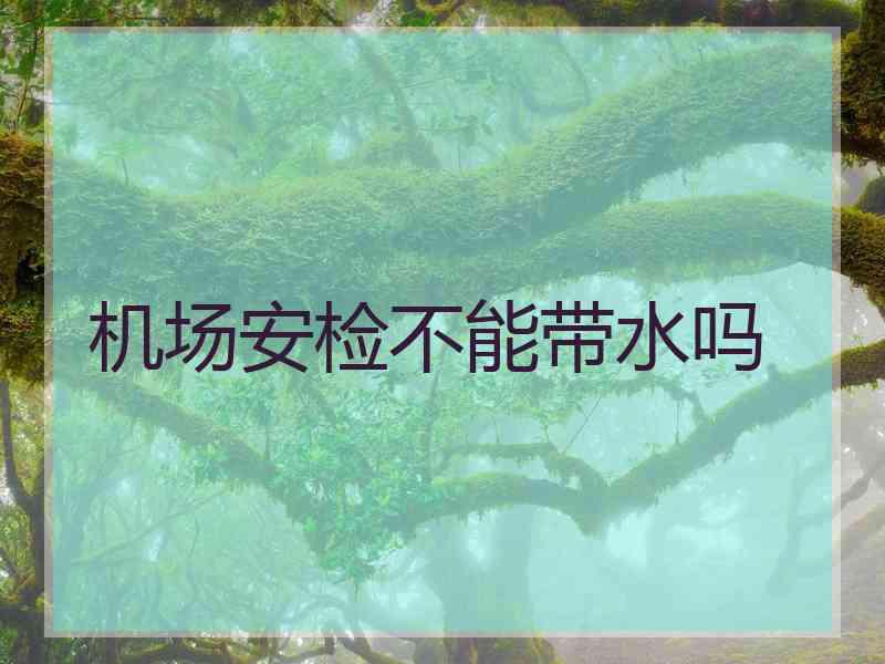 机场安检不能带水吗