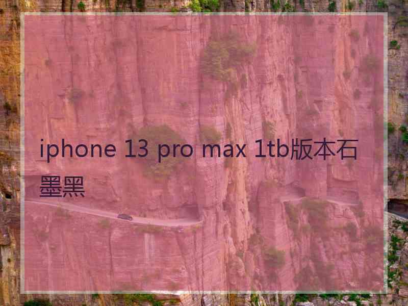 iphone 13 pro max 1tb版本石墨黑