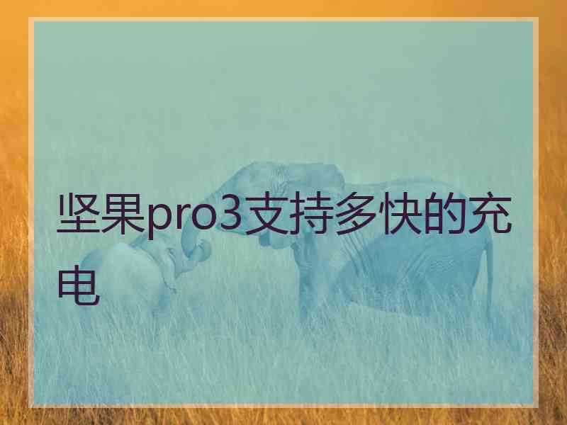 坚果pro3支持多快的充电