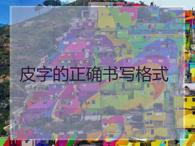 皮字的正确书写格式