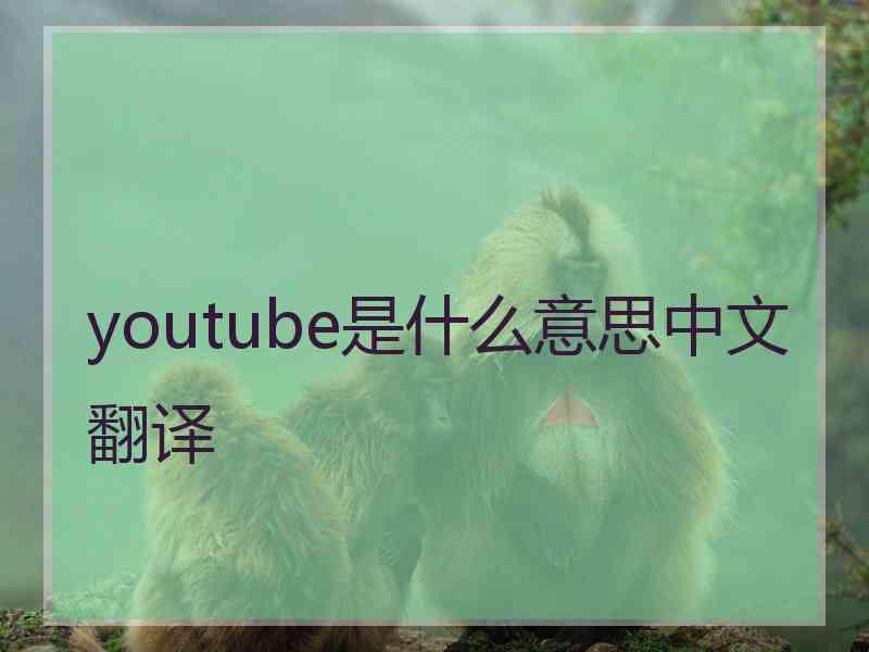 youtube是什么意思中文翻译