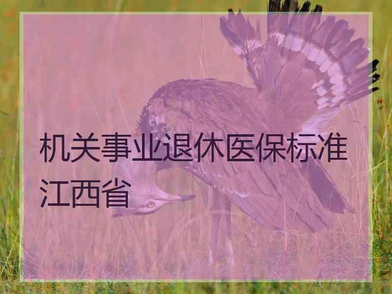 机关事业退休医保标准江西省