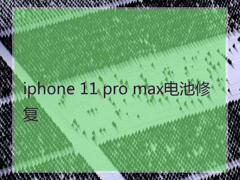 iphone 11 pro max电池修复