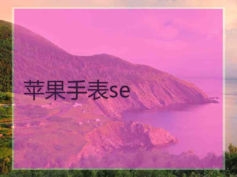 苹果手表se