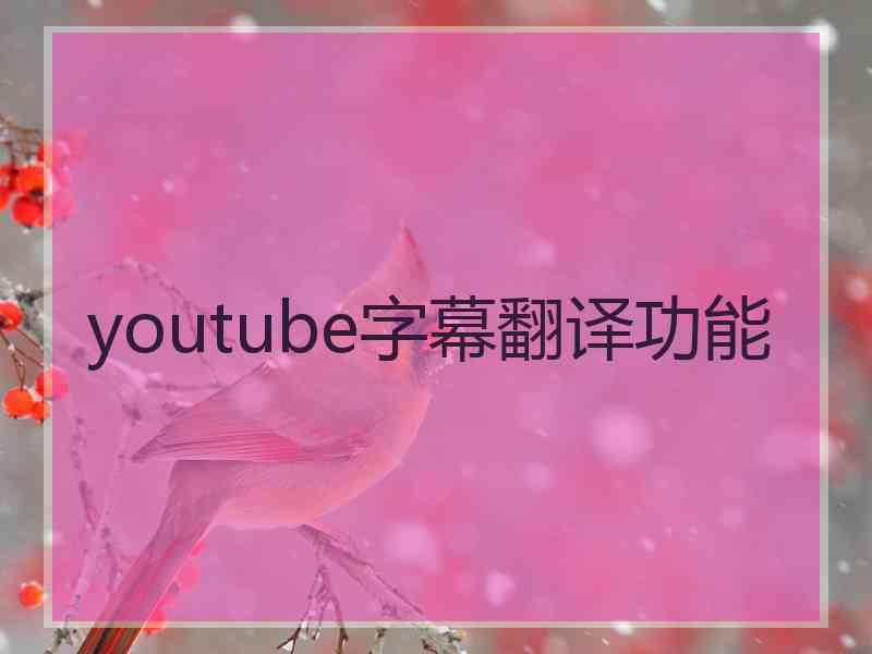 youtube字幕翻译功能