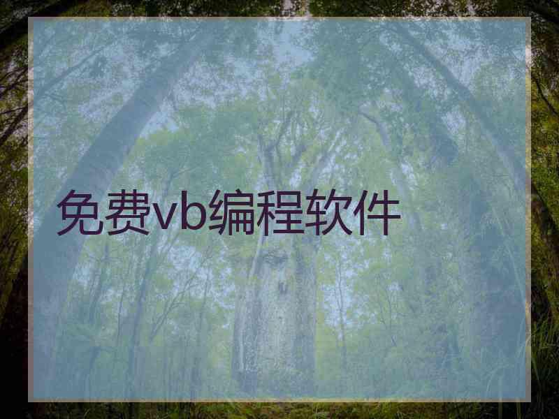 免费vb编程软件