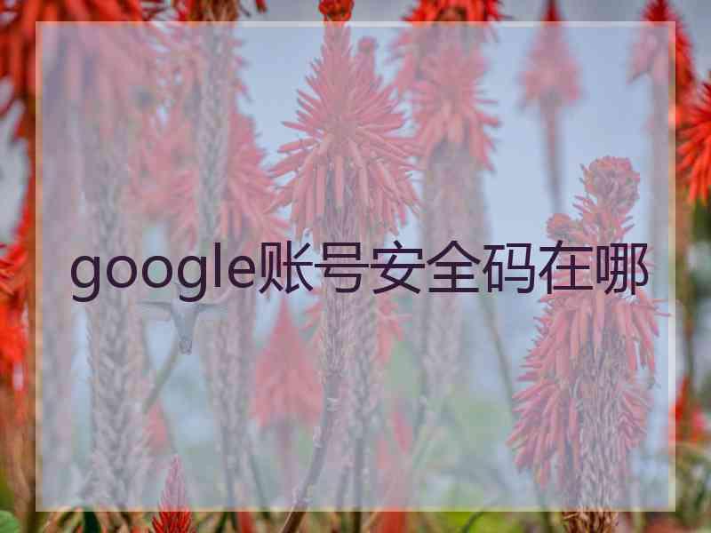 google账号安全码在哪