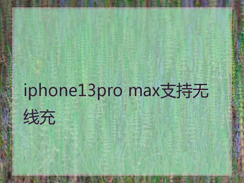 iphone13pro max支持无线充