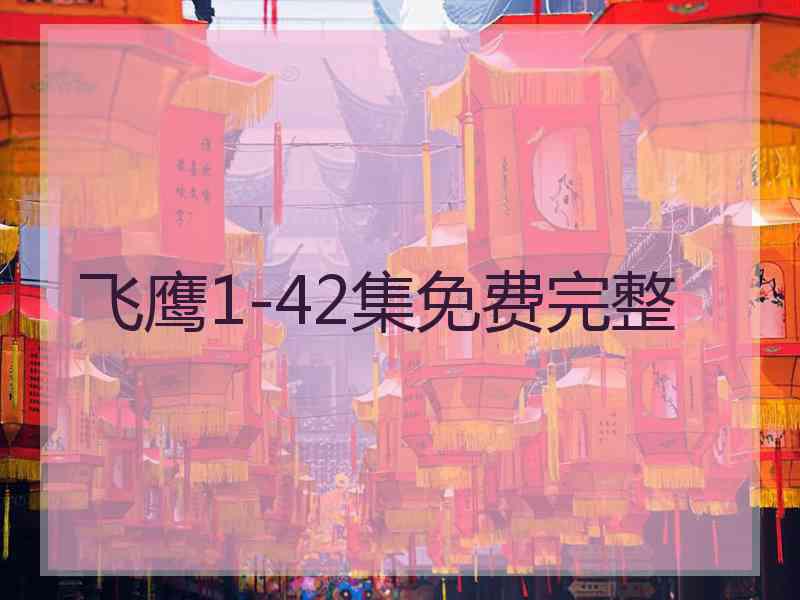 飞鹰1-42集免费完整