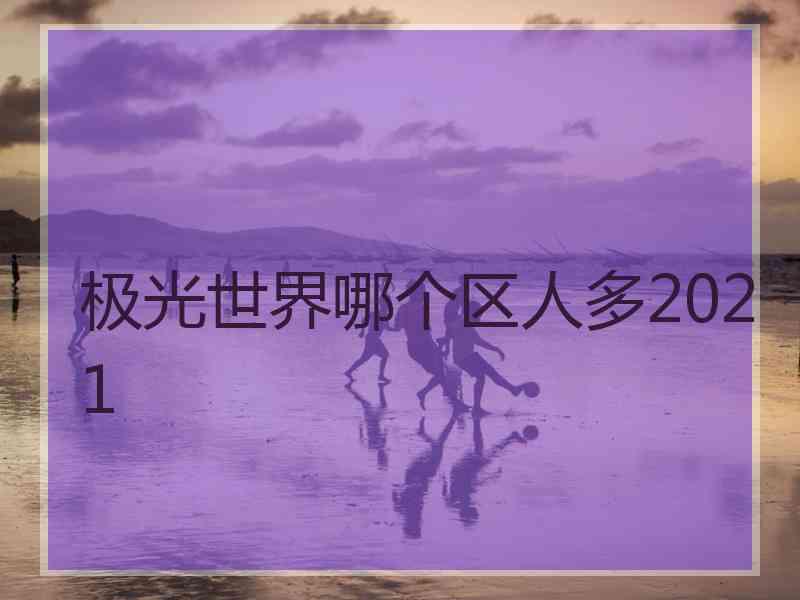 极光世界哪个区人多2021