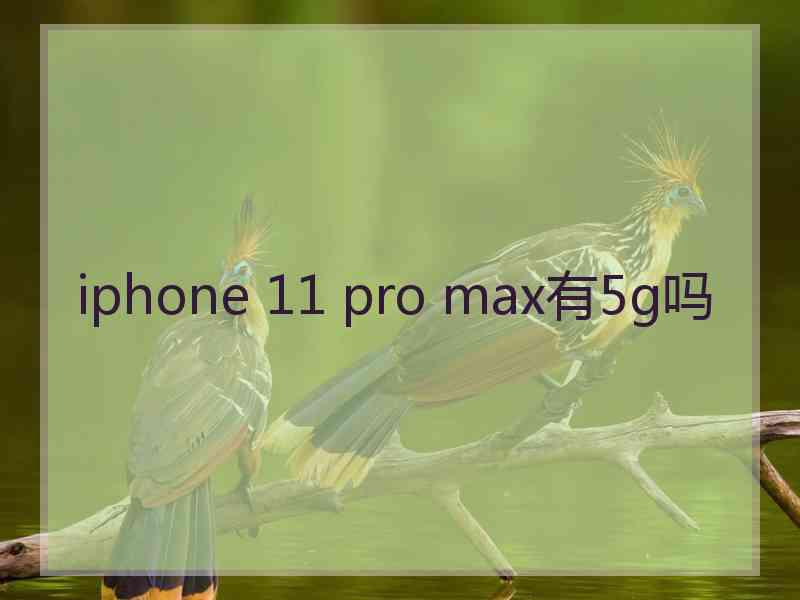 iphone 11 pro max有5g吗