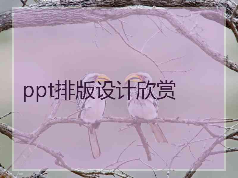 ppt排版设计欣赏