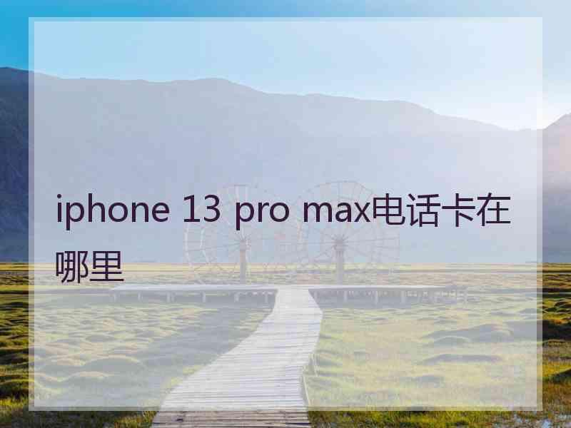 iphone 13 pro max电话卡在哪里