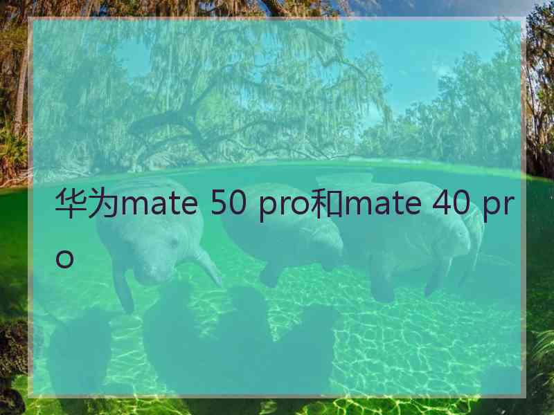 华为mate 50 pro和mate 40 pro