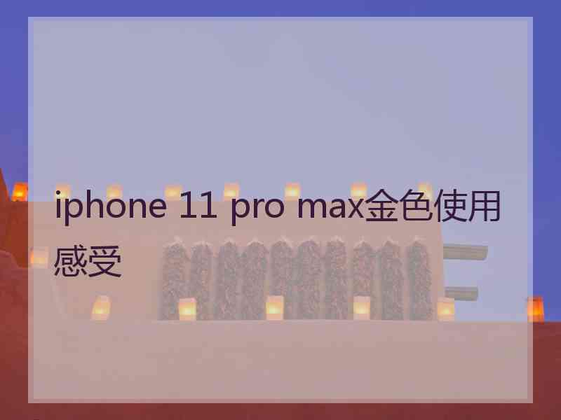 iphone 11 pro max金色使用感受