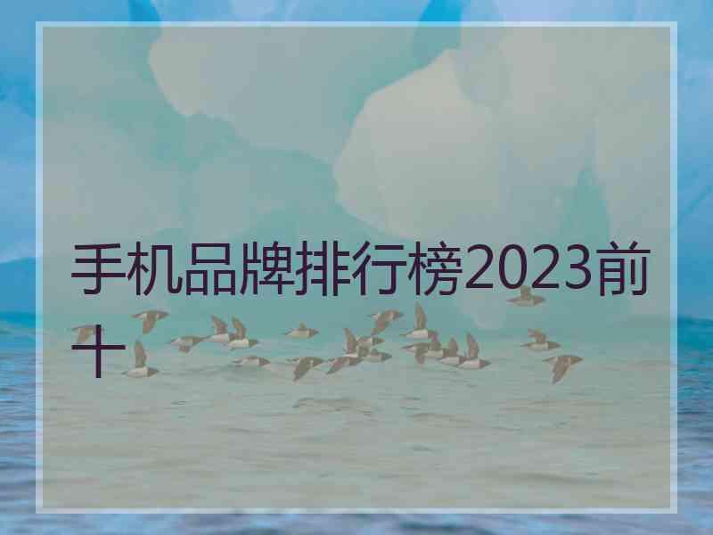 手机品牌排行榜2023前十