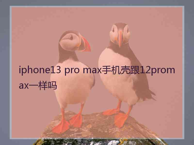 iphone13 pro max手机壳跟12promax一样吗