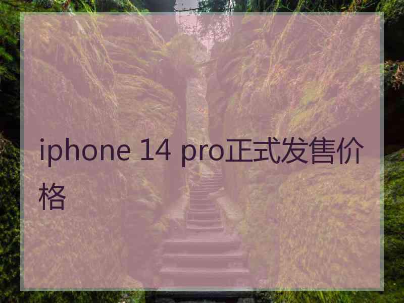 iphone 14 pro正式发售价格