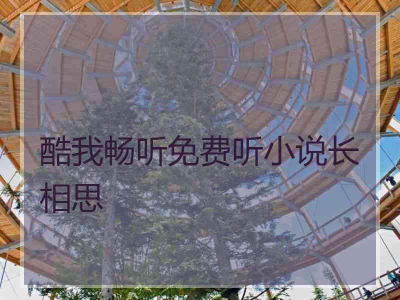 酷我畅听免费听小说长相思