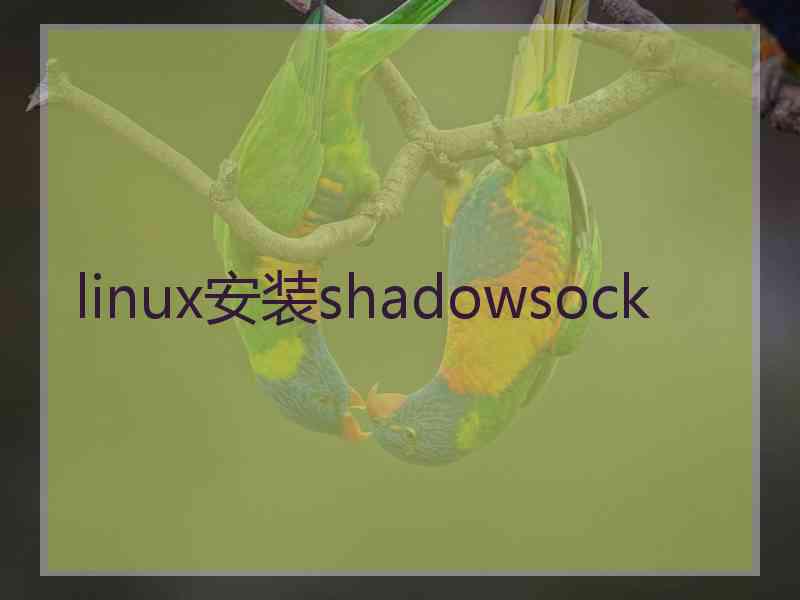 linux安装shadowsock