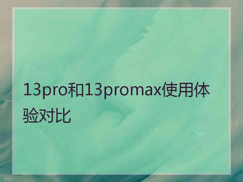 13pro和13promax使用体验对比