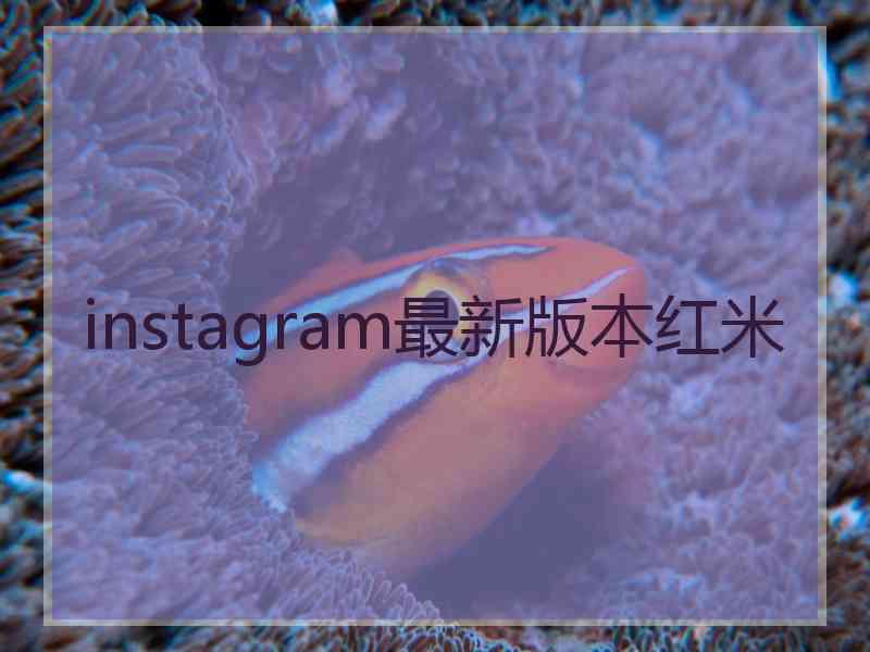 instagram最新版本红米