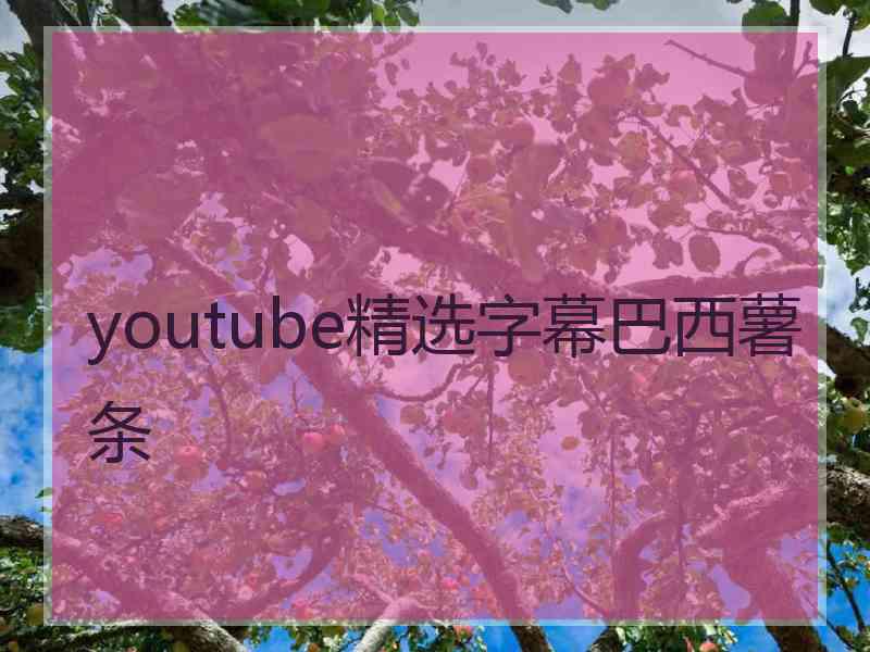 youtube精选字幕巴西薯条