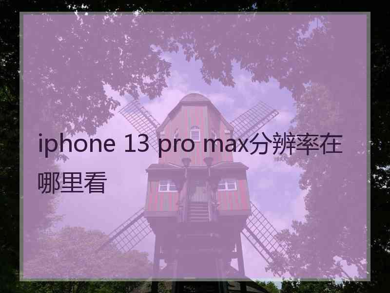 iphone 13 pro max分辨率在哪里看