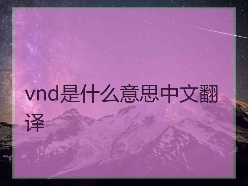 vnd是什么意思中文翻译