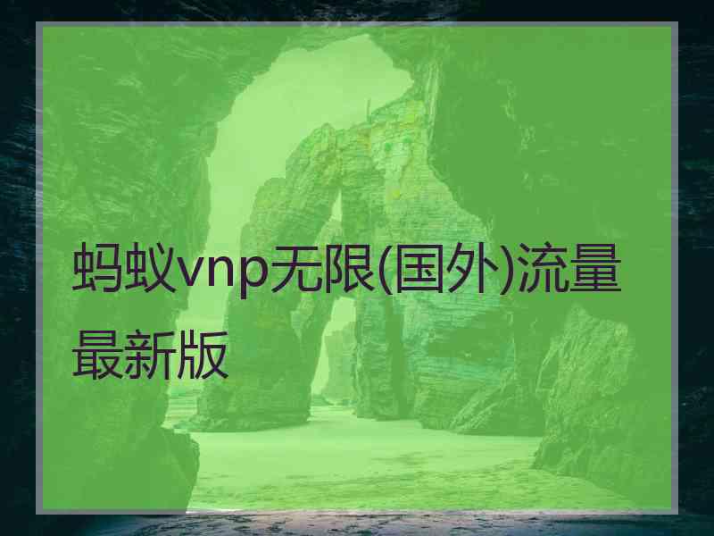 蚂蚁vnp无限(国外)流量最新版