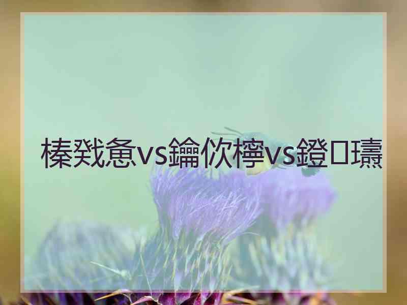 榛戣惫vs鑰佽檸vs鐙瓙