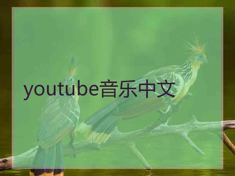 youtube音乐中文