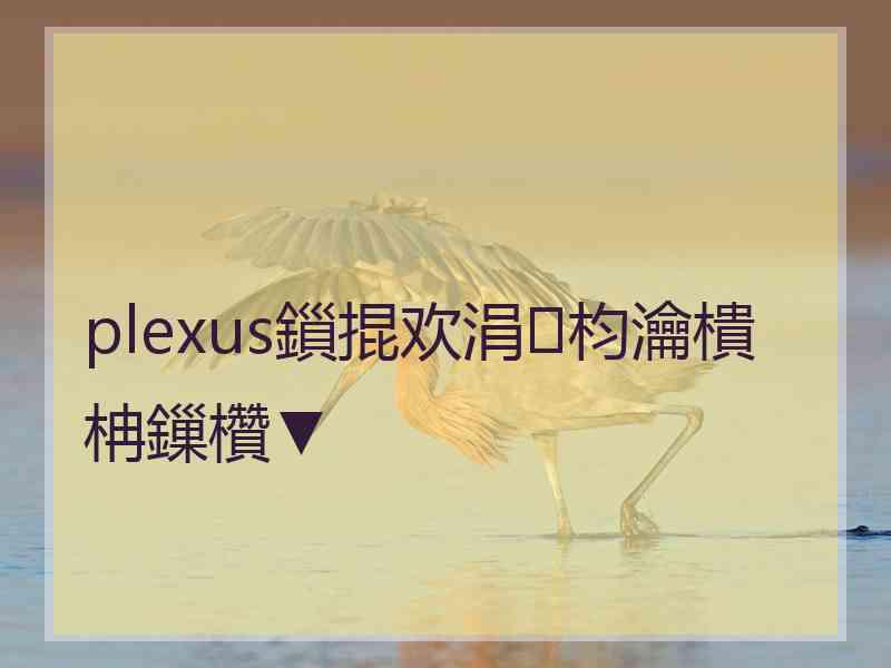 plexus鎻掍欢涓枃瀹樻柟鏁欑▼