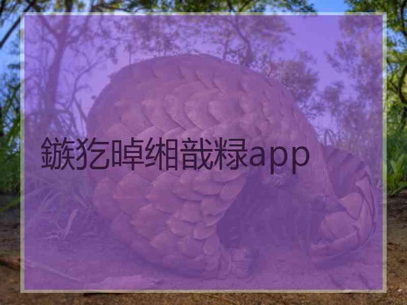 鏃犵晫缃戠粶app