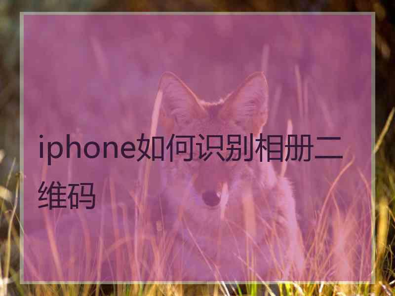 iphone如何识别相册二维码