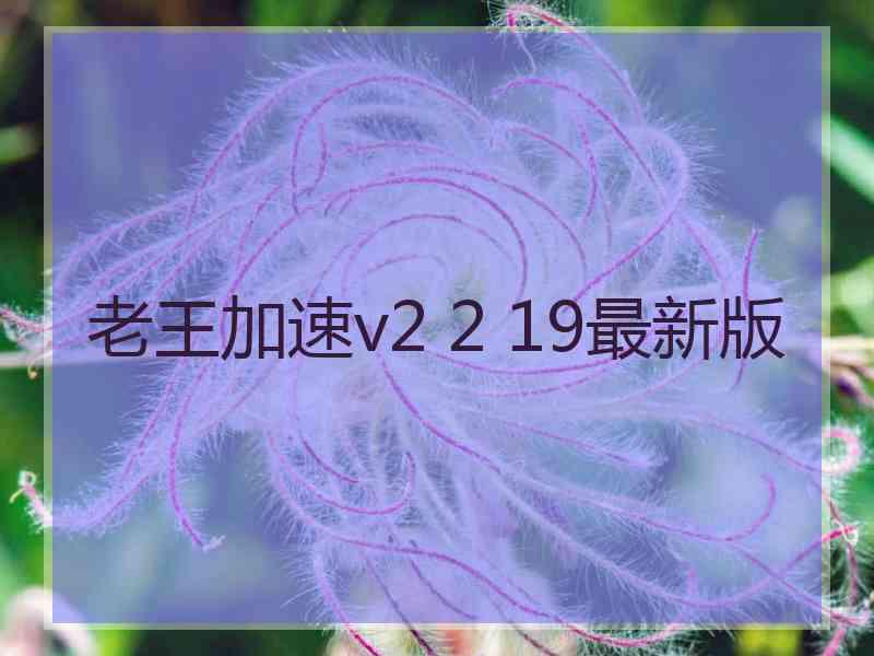 老王加速v2 2 19最新版