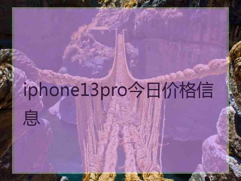 iphone13pro今日价格信息