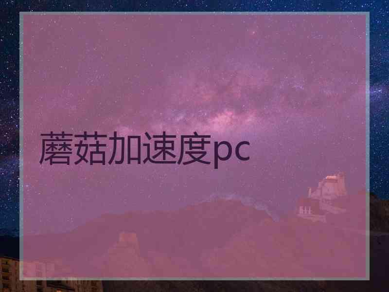 蘑菇加速度pc