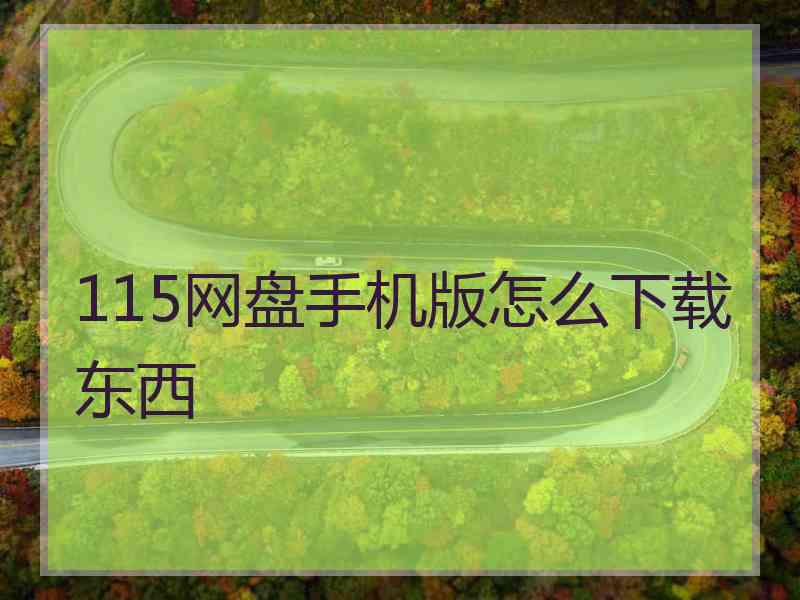 115网盘手机版怎么下载东西