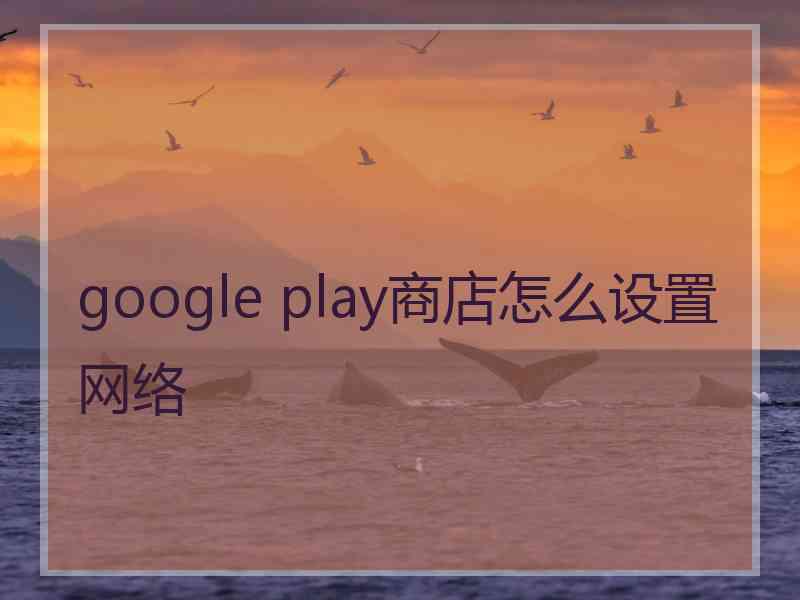 google play商店怎么设置网络