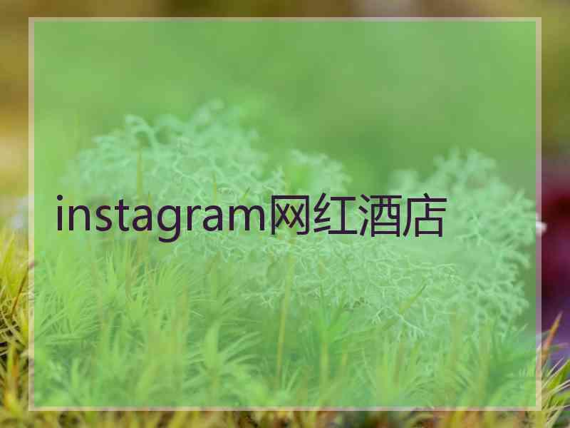 instagram网红酒店