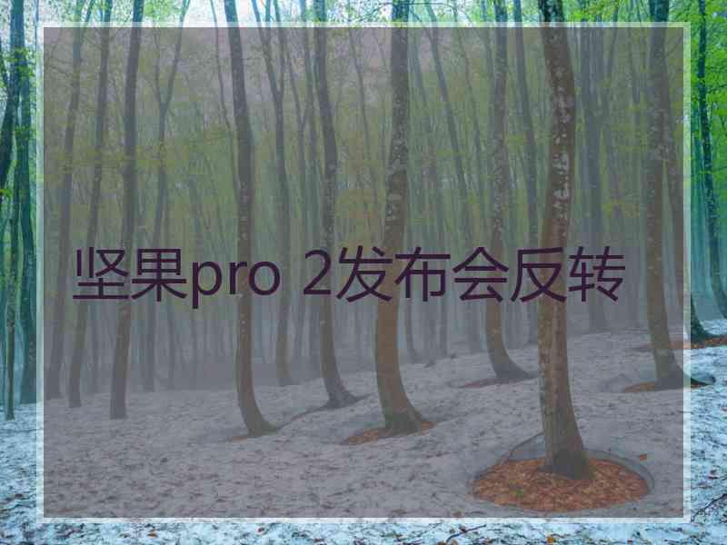 坚果pro 2发布会反转