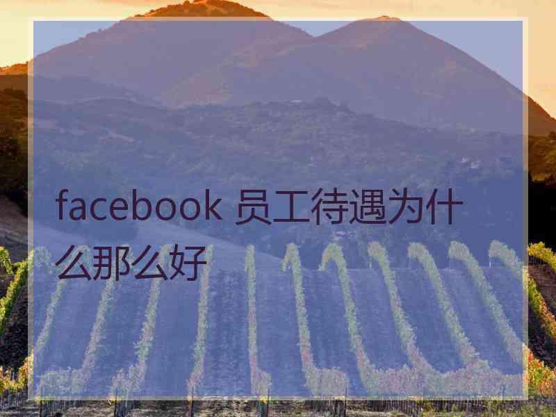 facebook 员工待遇为什么那么好