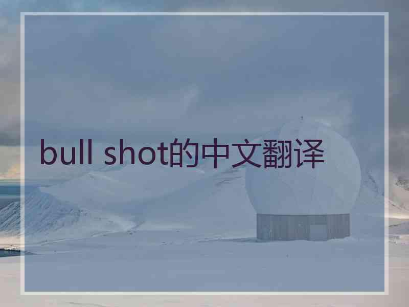 bull shot的中文翻译