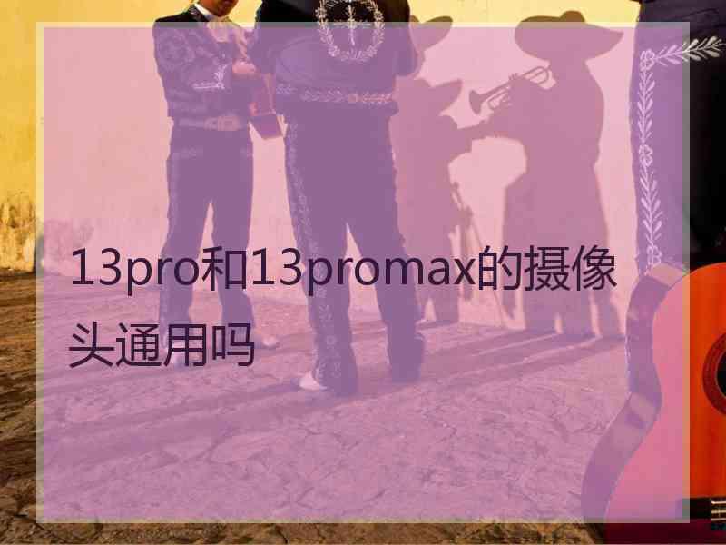 13pro和13promax的摄像头通用吗